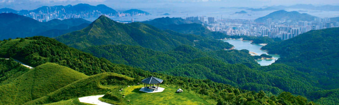 Hong Kong Policy Address banner 2