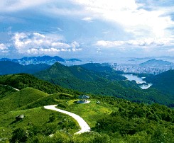Hong Kong – a city more than business - Photo 2